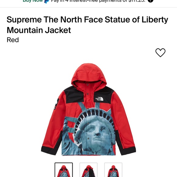 Supreme The North Face Statue of Liberty Jacket - Picture 6 of 7